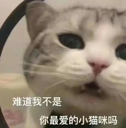  你有哪些骚破天际的表情包第九弹