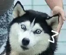  修仙修来好消息今晚梁溪好邻里强势回归,精彩好戏不容错过