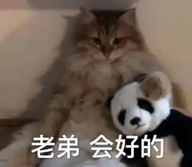 死水微澜,不改大势期权日报2019年10月29日知乎 死水微澜,不改大势期权日报2019年10月29日知乎