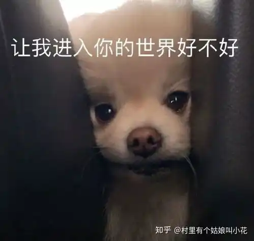  收藏多年的表情包