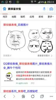  我想知道这个系列的表情包叫什么名字急