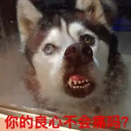  微信狗狗动态表情包