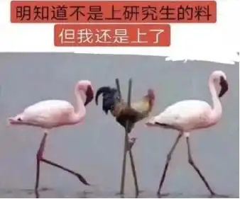 360全家桶表情包表情包