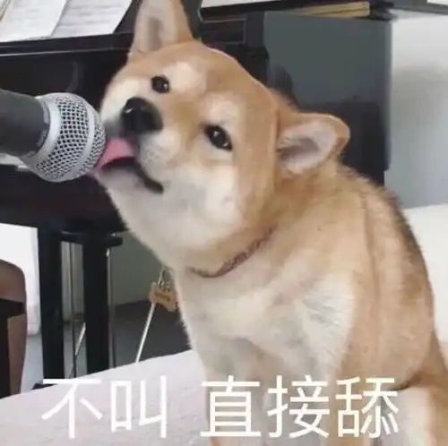  撩人表情包取图片微信聊天,怼人必备