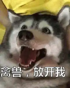  姐弟恋是一种什么体验