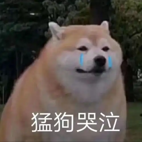  2333333