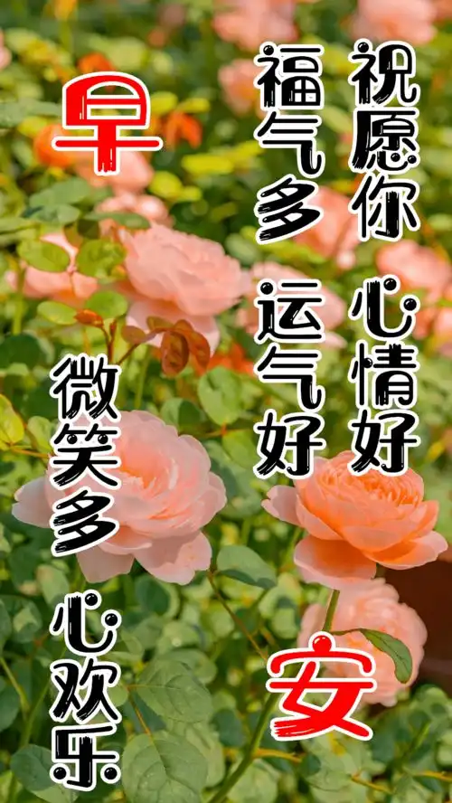  早上好图片表情大全新版朋友圈早上好动态图片