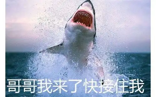  一群乡村青年是如何领悟qq飞车土到爆的精髓