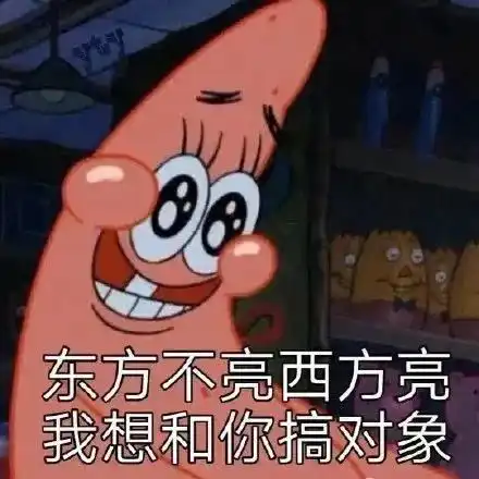 搞笑表情包东方不亮西方亮我想和你搞对象