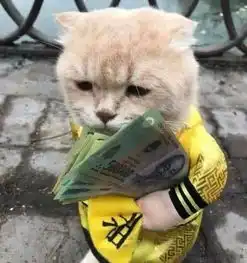  宠文校园的吧,男主叫顾什么浔的小说非常喜欢女主,有一次不知道因为什么兴奋在宿舍坐了还被舍友调侃了