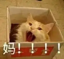  聊天丨长那么大真的不容易啊