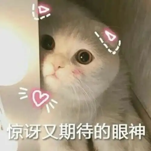  定了哈市5条公交线路延时满足市民夜间出行需求