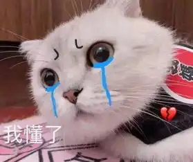  镇江人挺住未来半年至少4个雨季