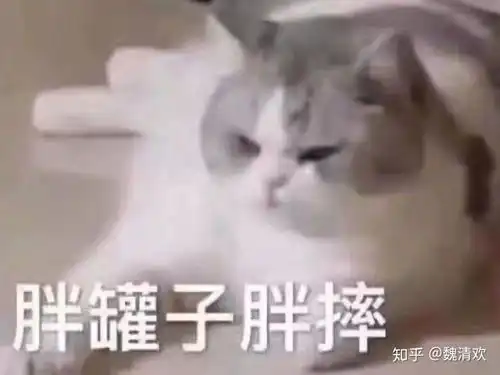  有一个很帅的男朋友是种什么样的体验