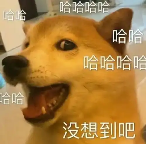  种马影帝不伦恋的瓜