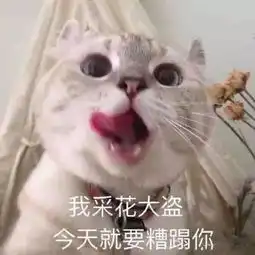 隐藏图表情包我喜欢你大