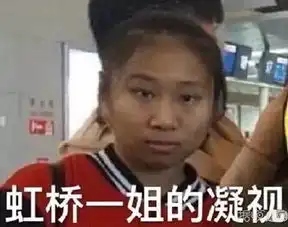  何书桓失忆了,佟丽娅新疆舞惊艳全场,回家就被虹桥一姐给堵在机场