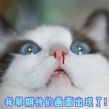 期待赴花期的合作单曲鸭