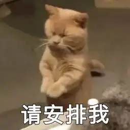  表情包你表情包太多,不想和你聊了