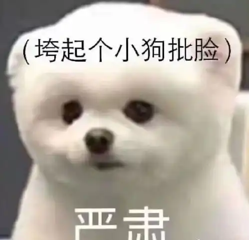  沙雕萌宠表情包我们女孩子想要的必须搞到手