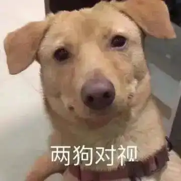  superidol的笑容,都没它的牙吓人
