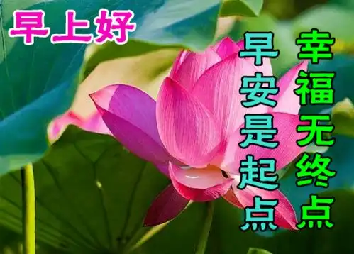  早上好动态表情图片大全,早晨好动图美图大全
