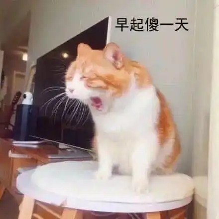  每晚分享沙雕表情包