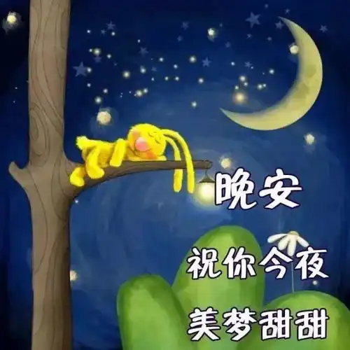  2021晚上好最漂亮表情图片晚安集