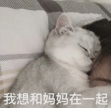  妈宝表情包大全