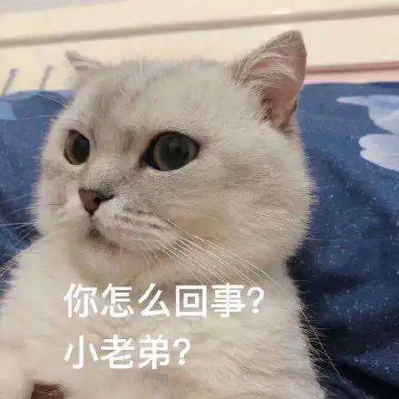  小老弟什么梗你太嫩太年轻撇一边站着