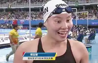  最二情书热播朴树汪峰傅园慧入选10大文青