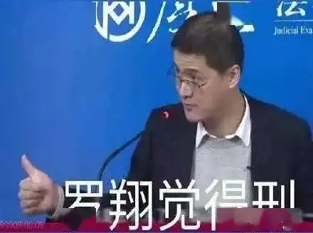 罗翔表情包图片这届