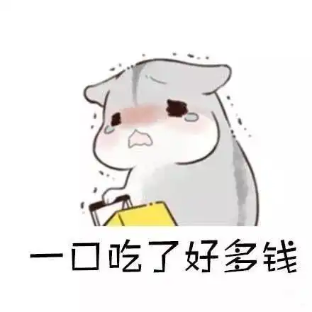 早上好表情包可爱瓜子