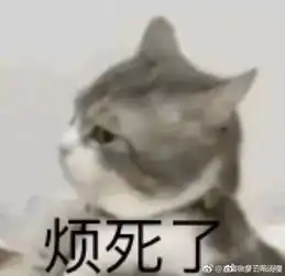  太喜欢沙雕猫狗表情包了,疯狂收图