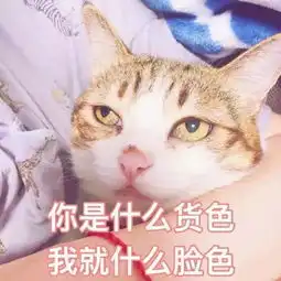  斗图表情包你是什么货色我就什么脸色