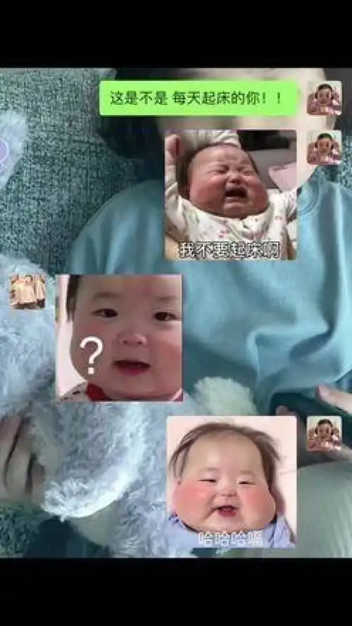  秃头温黄夏温表情包