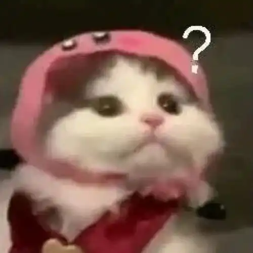 猫咪冲刺表情包加密货币