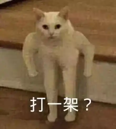  做喵就得做社会喵