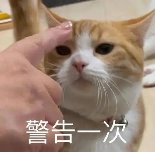  wan完