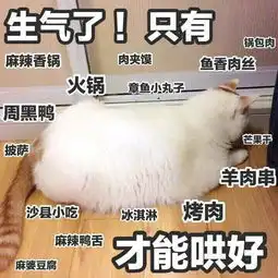  你见到过哪些笑到不行表情包