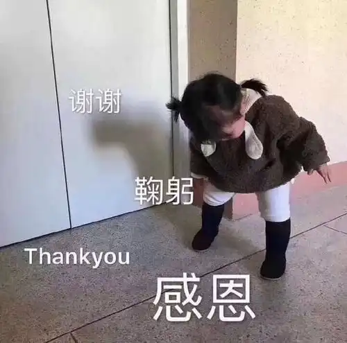  罗熙表情包谢谢,鞠躬,thankyou,感恩
