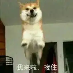  答题送礼品,你还不快来
