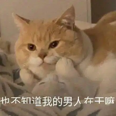 又到了存表情包的快乐时间