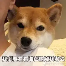 不想让男票打游戏甩个表情包过去,男友没辙,只能宠着 不想让男票打游戏甩个表情包过去,男友没辙,只能宠着