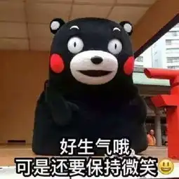 生气熊猫表情包动图小龙