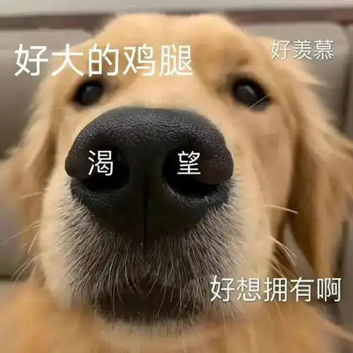  套路对象表情包
