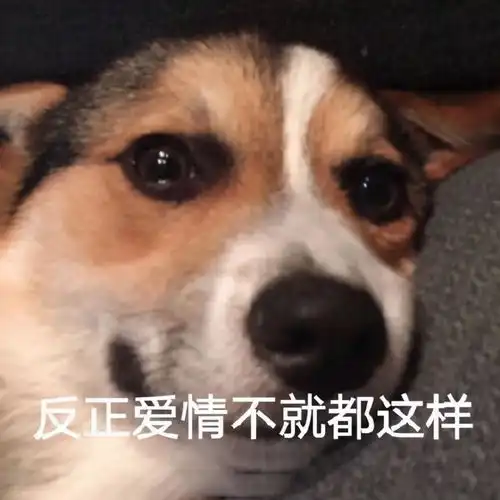  得知郭麒麟单身原因,网友漂亮以后你就是我们的官方发言人