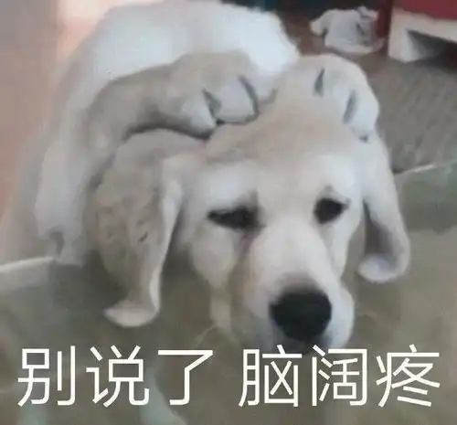 发工资表情包沙雕天府新