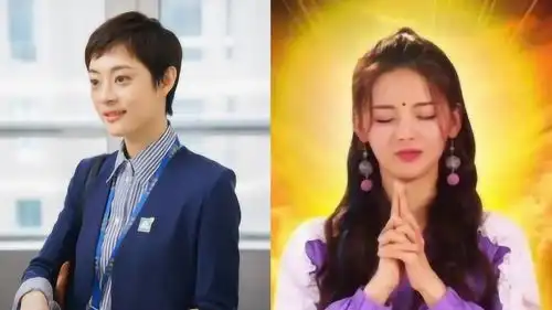  杨超越想找房似锦买房孙俪晒锦鲤表情求保业绩