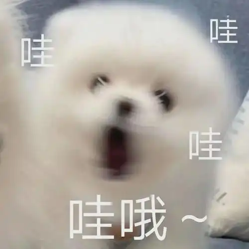  迎新2020小萌新,听说你的宿舍是这样的